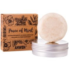 Anwen Peace of Mint - šampon pro mastné vlasy, účinně čistí pokožku hlavy, 75g