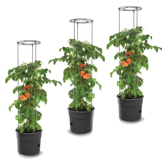 botle 3 x Květináč na pěstování rajčat Průměr 29,5 cm Hrnec s Podpěrou a Vložkou