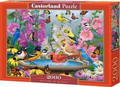 Castorland Puzzle Rytmus přírody 2000 dílků