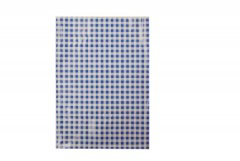 Karton PP Ubrus do výtvarné výchovy 65x50cm modro-bílé kostky