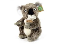 Rappa Plyšová koala 22 cm