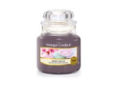 Decor By Glassor Vonná svíčka Yankee Candle BERRY MOCHI classic malý