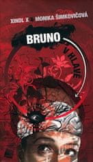 Xindl X: Bruno v hlavě