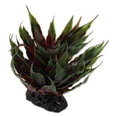 REPTI PLANET Rostlina sukulent Agave zelená 18 cm 1 ks