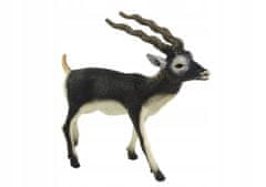 Lean-toys Sběratelská figurka antilopy Blackbuck Animal