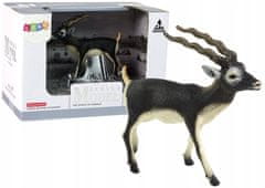 Lean-toys Sběratelská figurka antilopy Blackbuck Animal