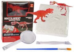 Lean-toys Vykopávka Set Figurka Dinosaur Skeleton Tyran