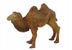 Lean-toys Sada figurka velbloudí zvířata