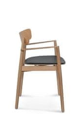 Intesi Židle Fameg Nopp s područkami B-1803 s tvrdým sedákem standard