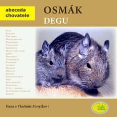 Robimaus Osmák degu - Abeceda chovatele