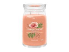 YANKEE CANDLE Tropical Breeze svíčka 567g / 5 knotů (Signature velký)