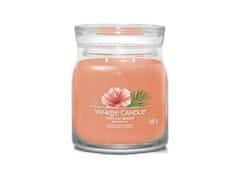 YANKEE CANDLE Tropical Breeze svíčka 368g / 2 knoty (Signature střední)