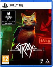 Stray (PS5)