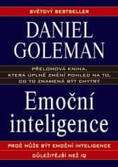 Metafora Emoční inteligence