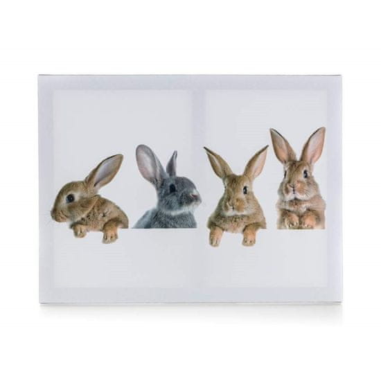 HOME DECOR Obraz 4x RABBIT 40 x 30 x 2 cm, sada 3 ks