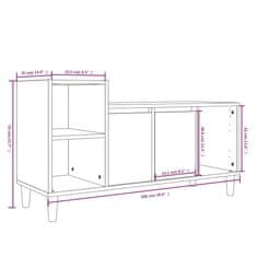 Vidaxl TV skříňka bílá 100x35x55 cm kompozitní dřevo