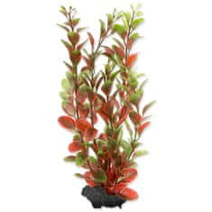 Tetra Rostlina Red Ludwigia M 1 ks