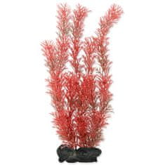 Tetra Rostlina Foxtail Red L 1 ks