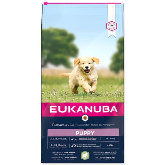 IAMS EUKANUBA Puppy Large & Giant Breed Lamb 12 kg