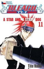 CREW Bleach 11: A Star and a Stray Dog