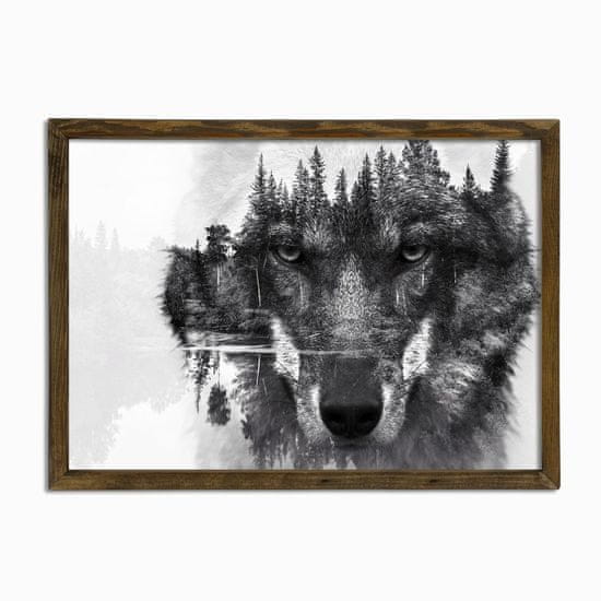 Wallity Nástěnný obraz Wolf 50x70 cm černobílý