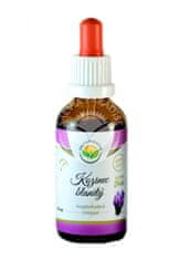 Salvia Paradise Kozinec blanitý AF tinktura 50ml, SALVIA PARADISE