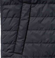 Carhartt Carhartt Gilliam Vest Black