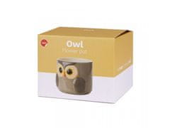 Balvi , Obal na květináč Owl 27678