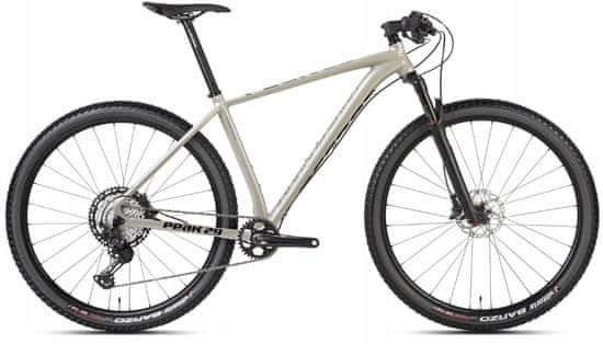 ACCENT Horská kola (MTB)/29“ Peak Boost XT 2022 - 19"