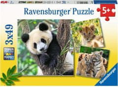 Ravensburger Puzzle Panda, tygr a lev 3x49 dílků