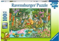 Ravensburger Puzzle Kapela deštného pralesa XXL 100 dílků