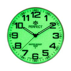 PERFECT WATCHES Pánské Hodinky P012-7 (Zp304g)