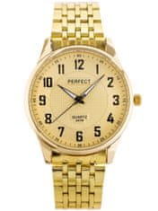 PERFECT WATCHES Pánské Hodinky P202 (Zp326d)