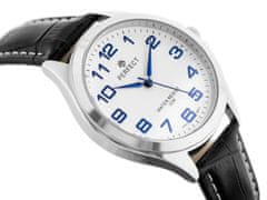 PERFECT WATCHES Pánské Hodinky Classic C412-F (Zp334a)