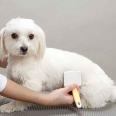 Japan Premium Jemný vyčesávací kartáč s kapkami pro psy