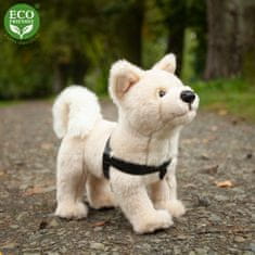 Rappa Plyšový pes akita Inu 29 cm ECO-FRIENDLY