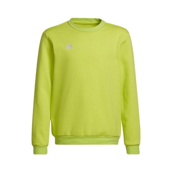 Adidas Mikina zelená Entrada 22 Sweat Top