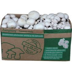 PLANTO Sada pro pěstování Žampión bílý 10kg (Agaricus Bisporus) PO-10KG-ZB