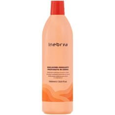 Inebrya Krémová oxidační emulze pro barvy Inebrya Color, koncentrace dle výběru 1000ml 12% 40 vol