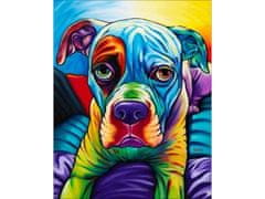 shumee OBRAZ MALOVÁNÍ PODLE ČÍSEL RÁM 40x50cm BULLDOG - PES V BARVĚ