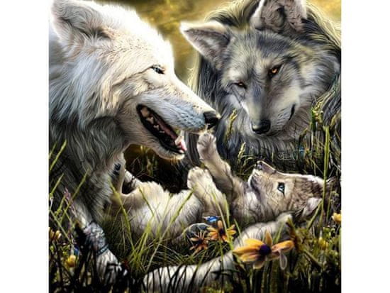 shumee Diamantová výšivka, obraz, diamantová mozaika Diamantový obraz, WOLF FAMILY Wolves 30x30cm