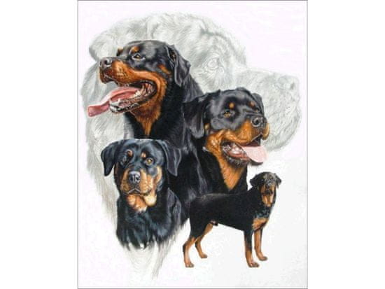 shumee Diamantová výšivka, obraz, Diamantová Mozaika Diamantová malba, PES - ROTTWEILER 30x40cm