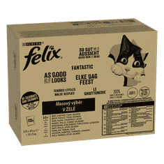 Felix FANTASTIC multipack lahodný výběr v želé 120 x 85 g