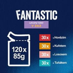 Felix FANTASTIC multipack lahodný výběr v želé 120 x 85 g