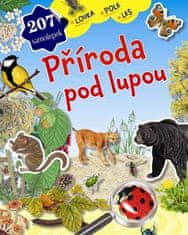 PADU Příroda pod lupou - louka, pole, les