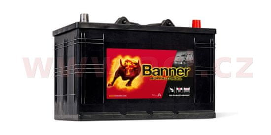 Banner 110Ah baterie 800A, pravá BANNER Buffalo Bull 344x175x214(230) 61011