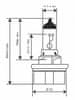 Žárovka RMS 246510745 12V 35/30W, HS5 bílá 246510745