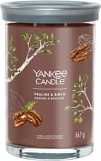 Yankee Candle Aromatická svíčka Signature velká Tumbler Praline & Birch 567g
