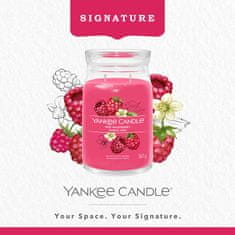 Yankee Candle Yankee Candle vonná svíčka Signature ve skle velká Red Raspberry 567 g
