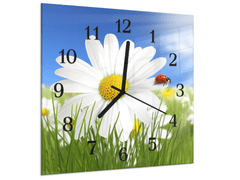 Glasdekor Nástěnné hodiny 30x30cm bílý květ kopretiny a beruškou - Materiál: kalené sklo